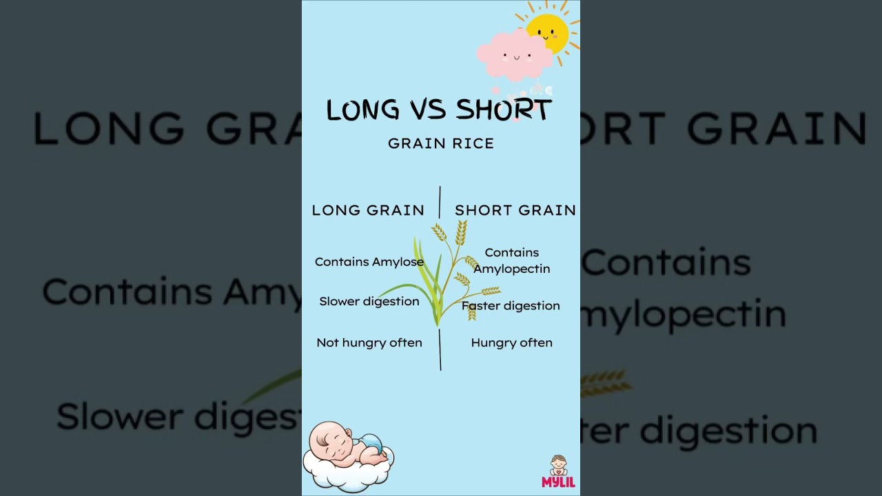 Long Grain VS Short Grain Rice for Babies | MyLil | 6-12 Months | Starting Solids |