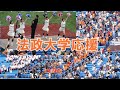 【法政大学応援団チアリーダー】早大戦８回裏の応援　東京六大学野球春季リーグ対早大２回戦2024. 5 .19（日）神宮球場