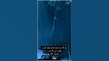 ﴿يا أَيُّهَا النّاسُ اتَّقوا رَبَّكُم﴾ تلاوة خاشعة من سورة لقمان بصوت القارئ فارس عباد #ليلة_الجمعة