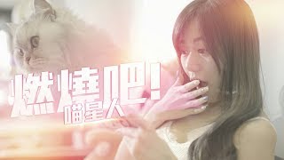 燃燒吧！喵星人！跟著聖鬪士星矢-銀河之魂一起燃燒你的小宇宙！ screenshot 4