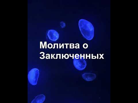 Видео: Иракска война Биопик пресъздава битката на морската пехота за нейната лоялна служба куче