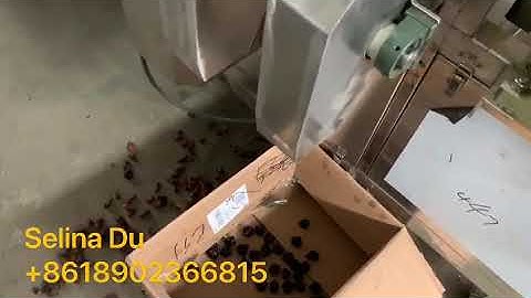 Dried Plum / Dried Fruit Pitting Machine - fruit seed removing machine