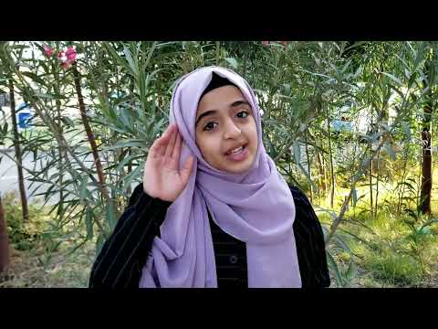 رسالة هامة لمتابعيني الأعزاء/ An Important Message For My Dear Followers