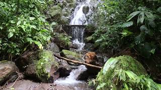 Rainmaker Waterfalls Costa Rica Tinnitus Masking Sound Therapy White Noise