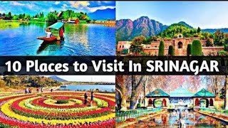 Srinagar top 10 tourist places study motivation short
