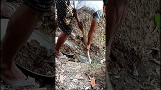 Earth Cutting Work #excavation #earthworks #civilconstruction #shorts