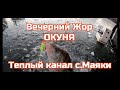 Вечерний жор Окуня на Теплом канале в с.Маяки.