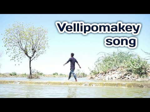 Vellipomakey Dance Cover | Babavali, Haji | Syamsri