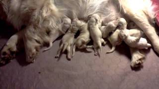 VID_20110531_234900.3gp