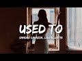 Sandro Cavazza, Lou Elliotte - Used To (Lyrics) Mp3