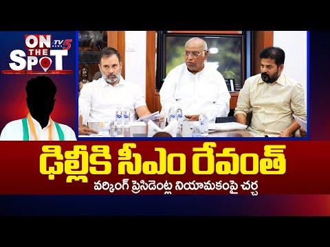 CM Revanth Reddy Visits Delhi Key Meeting Over Appointment of Working Presidents | TV5 News - TV5NEWS