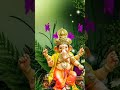 #ganapatibappa#jai#ganapati#ganapatibappamorya#shree#ganesh#om#hindudeity#viral#trendingvideo#short
