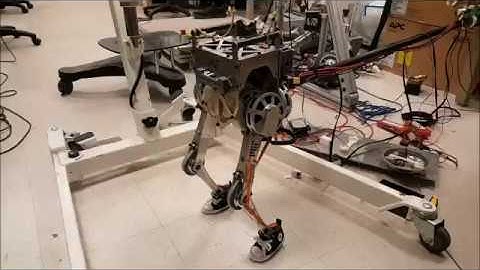 Little HERMES steps in place