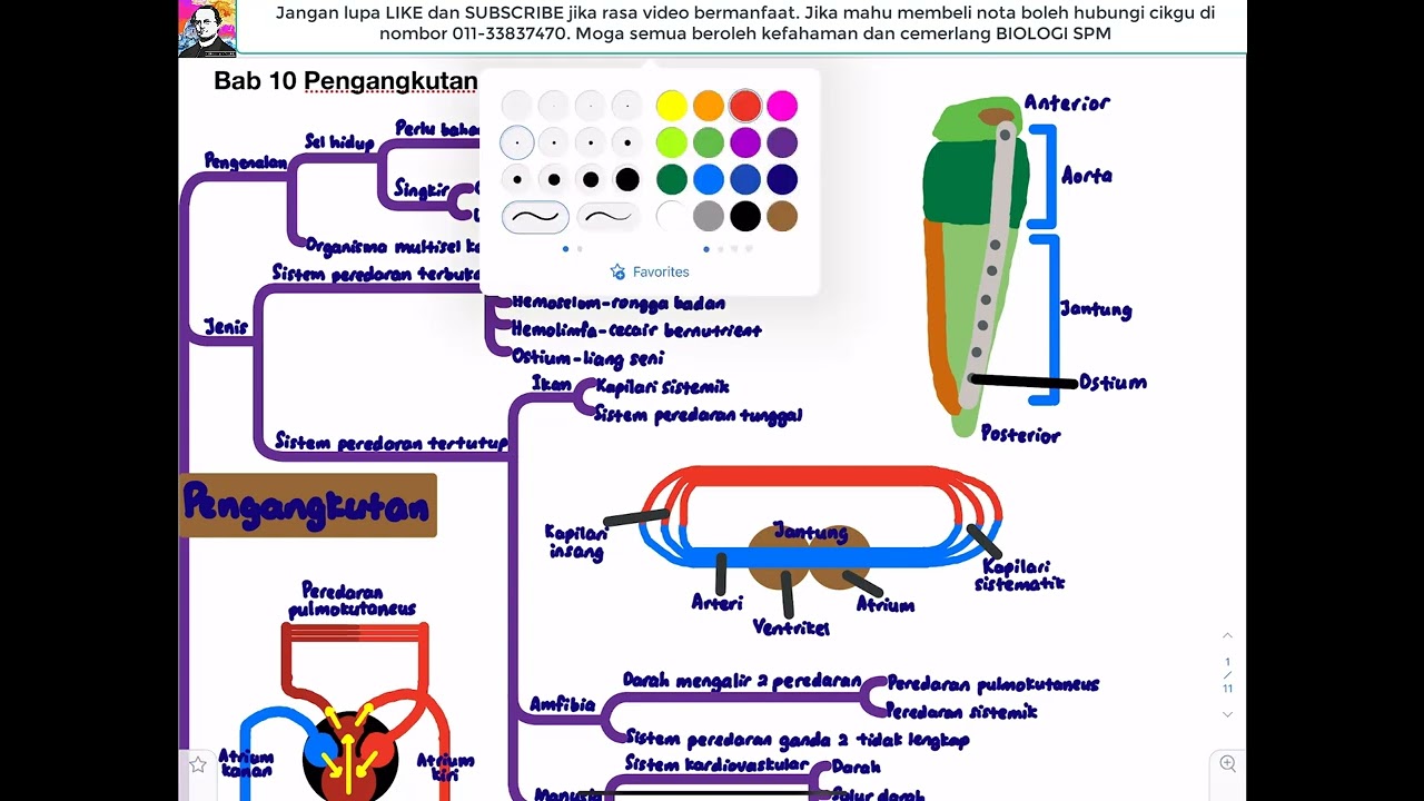 (2022) BIOLOGI KSSM T4- Bab 10 Pengangkutan dalam Manusia dan Haiwan