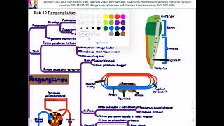 (2022) BIOLOGI KSSM T4- Bab 10 Pengangkutan dalam Manusia dan Haiwan