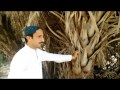 New song 2016 yaar taan wat yaar hondin poet saleem taunsvi singer muhammad basit naeemi