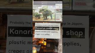 The Smallest Shop In