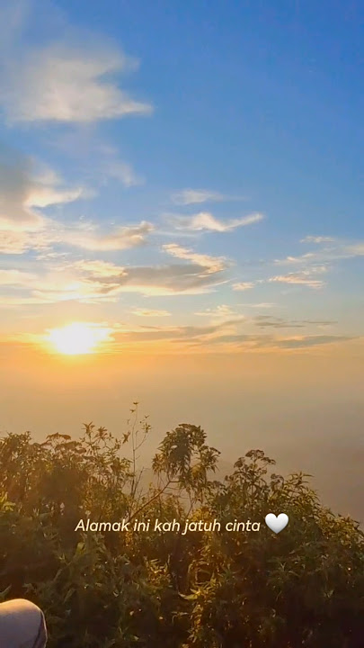 Kalo ada 9 nyawa - Alamak Rizky Febian #alamak #rizkyfebian #pemandangan #alam #fyp #shorts