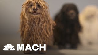 Soshee Is World’s First Social Media Robot Dog | Mach | NBC News