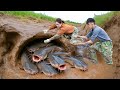 Harvesting Giant Devil Catfish & Make Traditional Grilled Fish - How to Catch Catfish in the Field