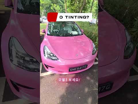 싱가폴은 노틴팅으로 다닌다고? 싱가폴 테슬라 모델Y, 모델3 밝은 50% 틴팅 #파나픽셀 #국스월드 #teslatinting #panapixel