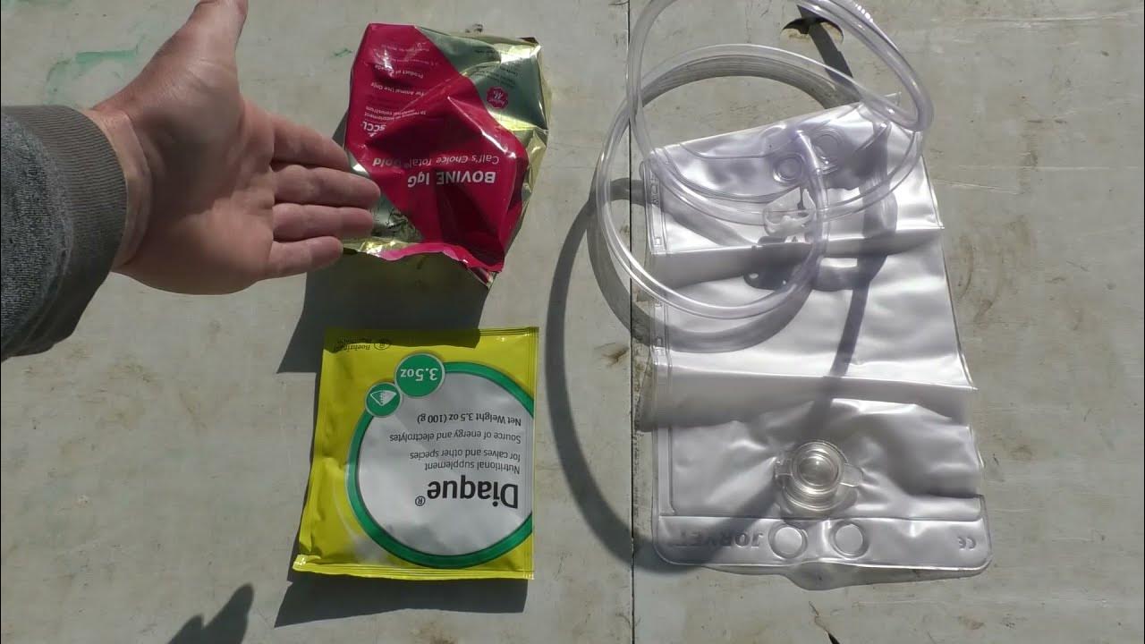 How to Tube Feed a Calf YouTube