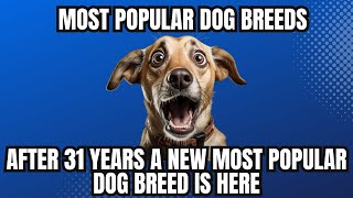 Top 10 Most Popular Dog Breeds In The World 2023 | A New Most Popular Dog Breed Is Finally Here