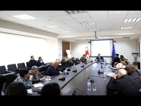 დავით სერგეენკომ დევნილებთან შეხვედრა გამართა