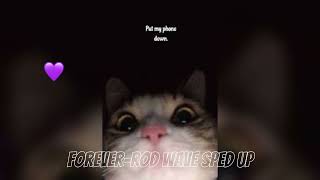 Forever-rod wave sped up❤️