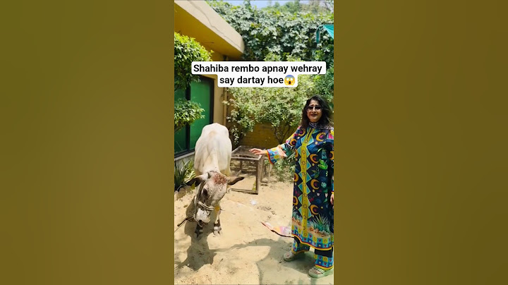 shahiba rembo Kay wehray na shahiba ko mara😱#sahibarembo#ytshorts#shorts#viralshorts