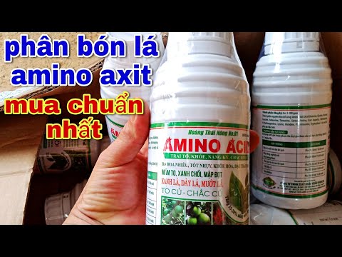 Video Phun AXIT AMIN(Amino Axit) Cho CAM, BƯỞI/Giải Độc,Thúc... - youtube