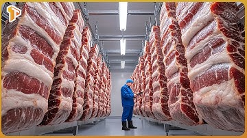 Inside Mega Bacon Processing Line - How Bacon Is Made In Mass Production