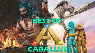 The Best of ARK Caballus