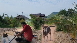 สวัสดีตอนเช้า!เตรียมความพร้อมก่อนไปดายหญ้า!ตั๊กแตนกินหญ้าไม่ไหวแล้วเยอะเกิน!!