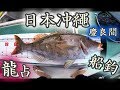 日本沖繩釣魚 慶良間船魚遇上巨鯨！？船釣75CM巨物龍占！！