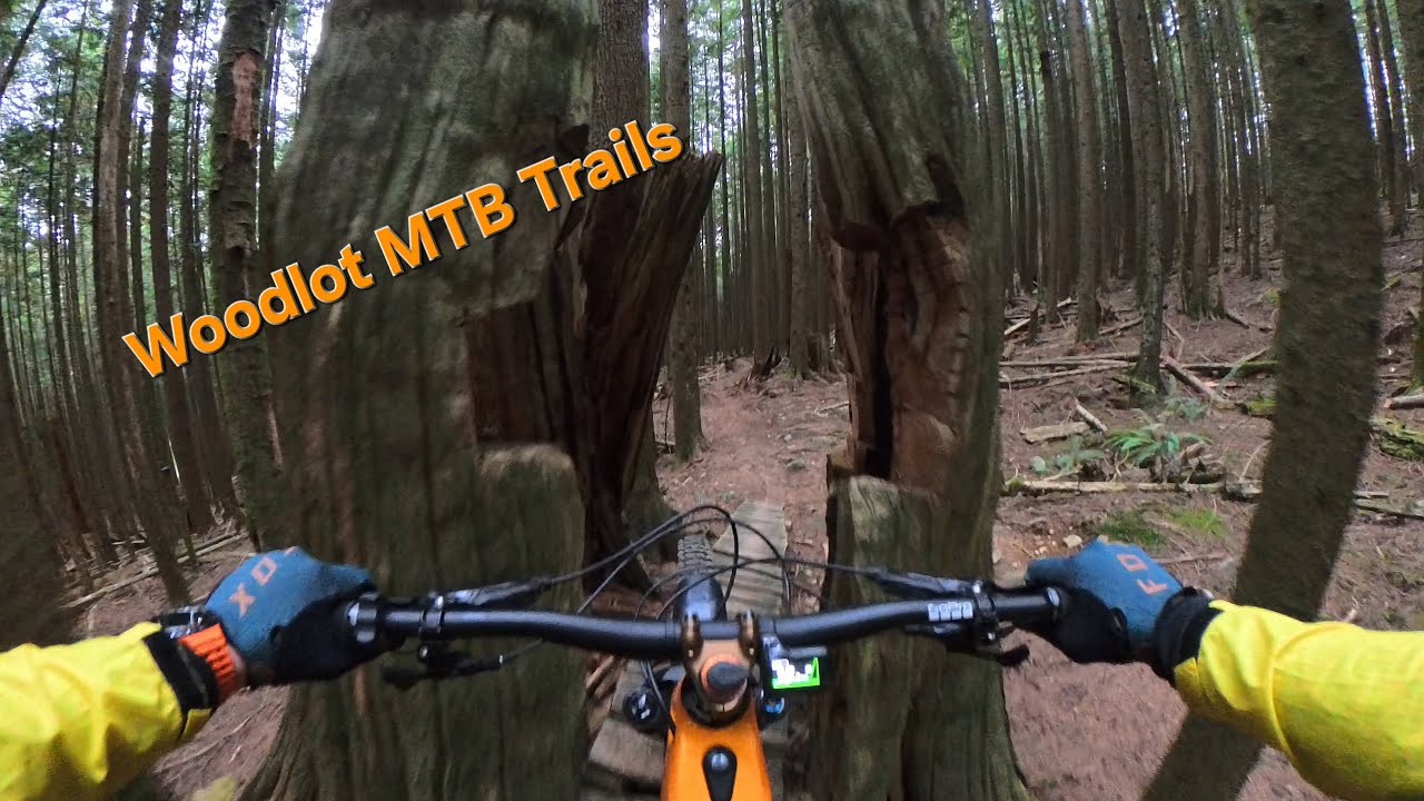 Woodlot, Maple Ridge BC MTB Trails