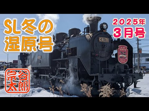 2020年　SL冬の湿原号　20周年 エンブレム サボ 車票 2020年 SL冬の湿原号 20周年 エンブレム サボ 車票 - メルカリ