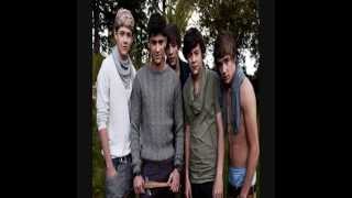OneDirection - Little Things\/What Makes You Beautiful\/One Thing DOWNLOAD LINKS