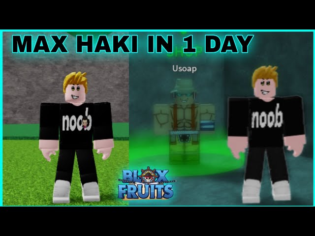 5 things YOU should KNOW in the THIRD SEA #roblox #bloxfruits, how to get  5000 observation haki