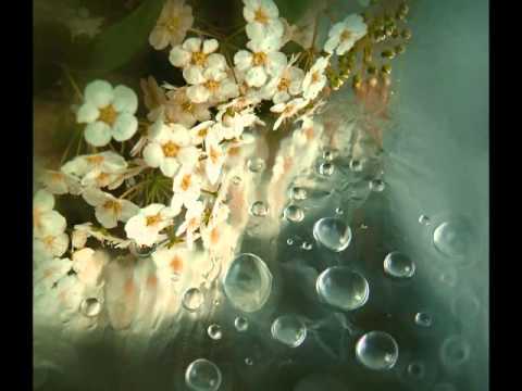 Tania Libertad - Alfonsina y el mar acordes