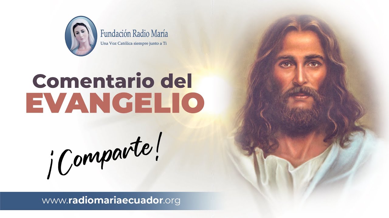 📖🙏 Reflexiones del Evangelio: 11 de octubre de 2024 - Inspiración ...