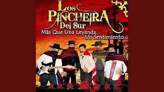 Video thumbnail of "Los Pincheira del sur Oficial - Te Voy a Olvidar"