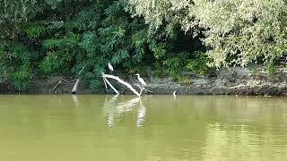 Beautiful Landscapes: A GETAWAY ON THE DANUBE RIVER, WITH HIGH SPEED BOAT (O Escapada pe Dunare)