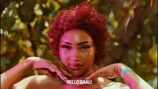 Daali - Mudra D Viral  | Visualizer