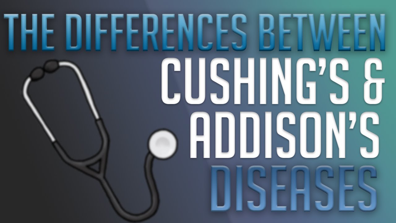 Differences Between Cushings And Addisons Youtube