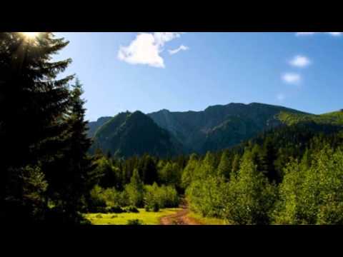 ილია ზაქაიძე-საქართველო