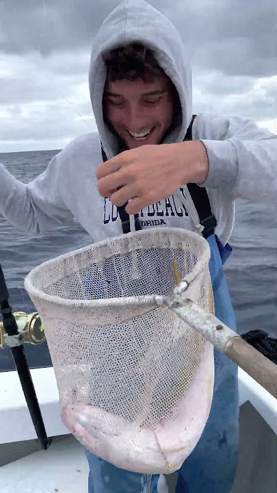 GIANT BERMUDA YELLOWTAIL SNAPPER !!! #fishing #bermuda #fish