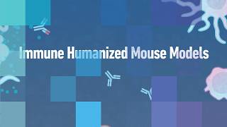 Immune Humanized Mouse Models
