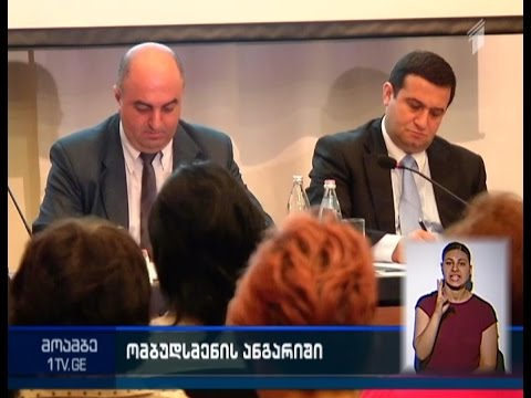 რა პრობლემები აქვთ შშმ პირებს - ომბუდსმენის ანგარიში