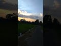 Bermain Layang Layang